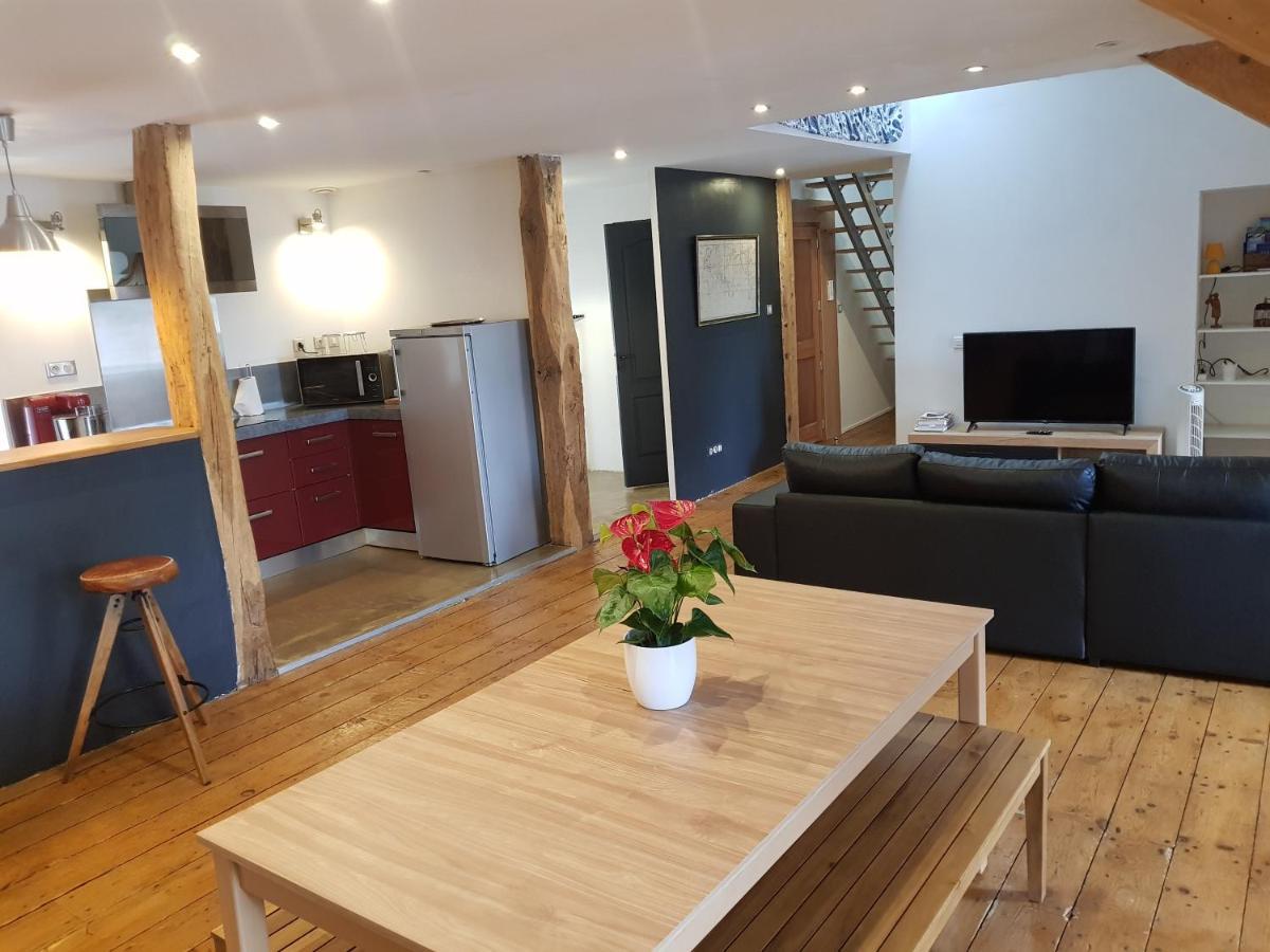 Loft Dans Les Pyrenees Lejlighed Oloron-Sainte-Marie Eksteriør billede