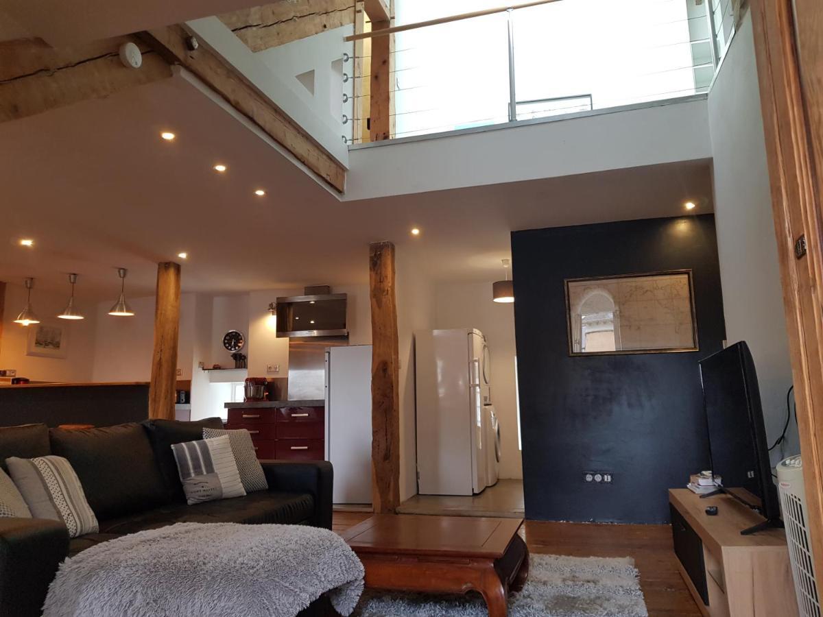 Loft Dans Les Pyrenees Lejlighed Oloron-Sainte-Marie Eksteriør billede