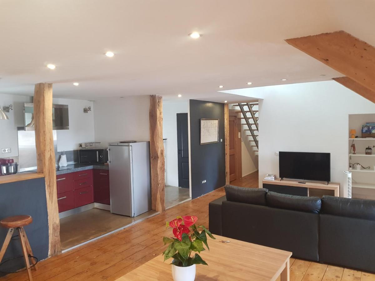 Loft Dans Les Pyrenees Lejlighed Oloron-Sainte-Marie Eksteriør billede