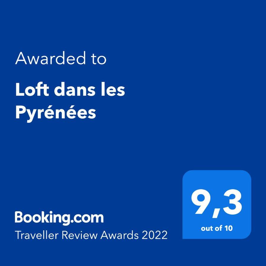 Loft Dans Les Pyrenees Lejlighed Oloron-Sainte-Marie Eksteriør billede